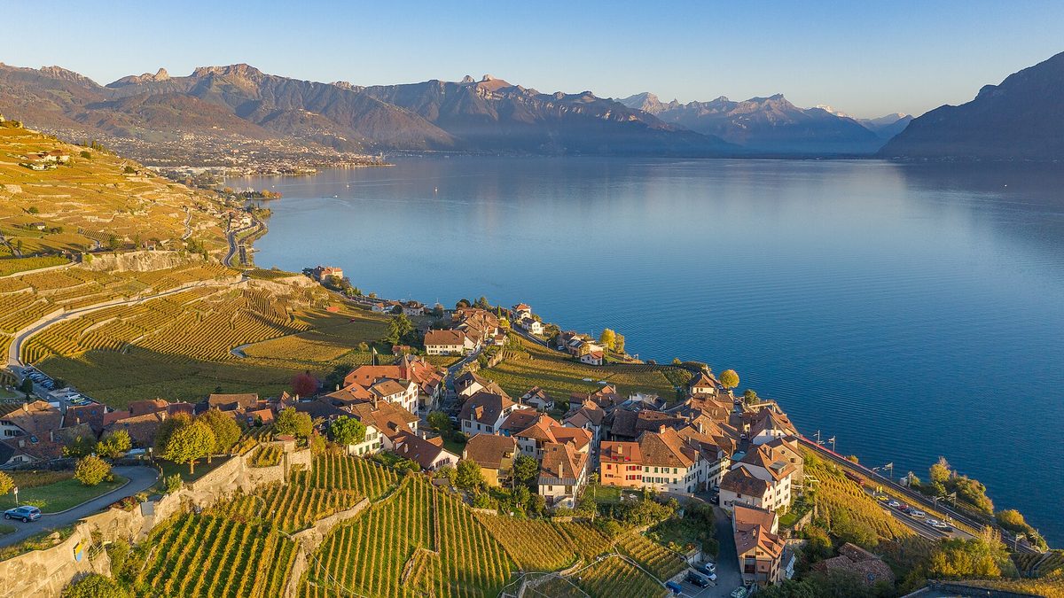 The terraced Lavaux vineyards above the lake.