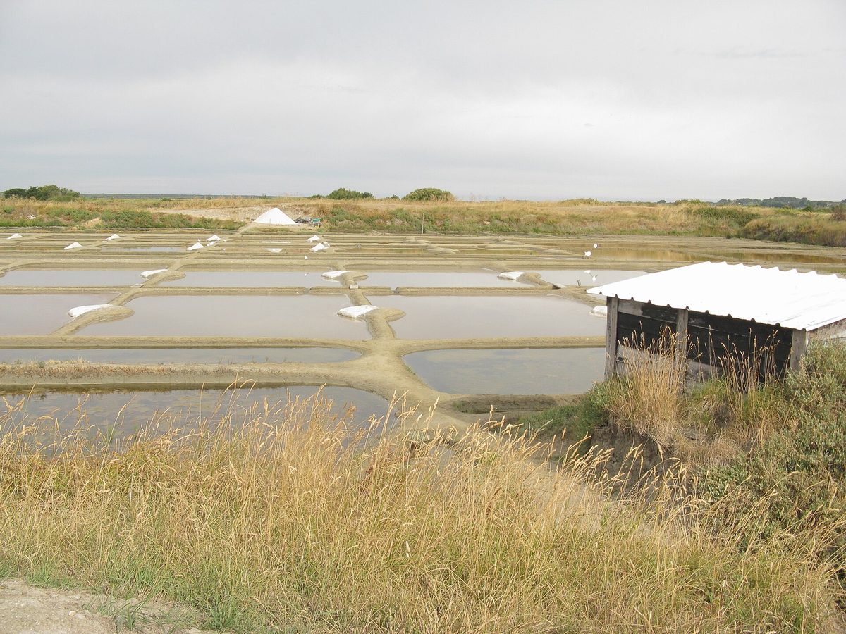 The salt marshes of Guérande.
