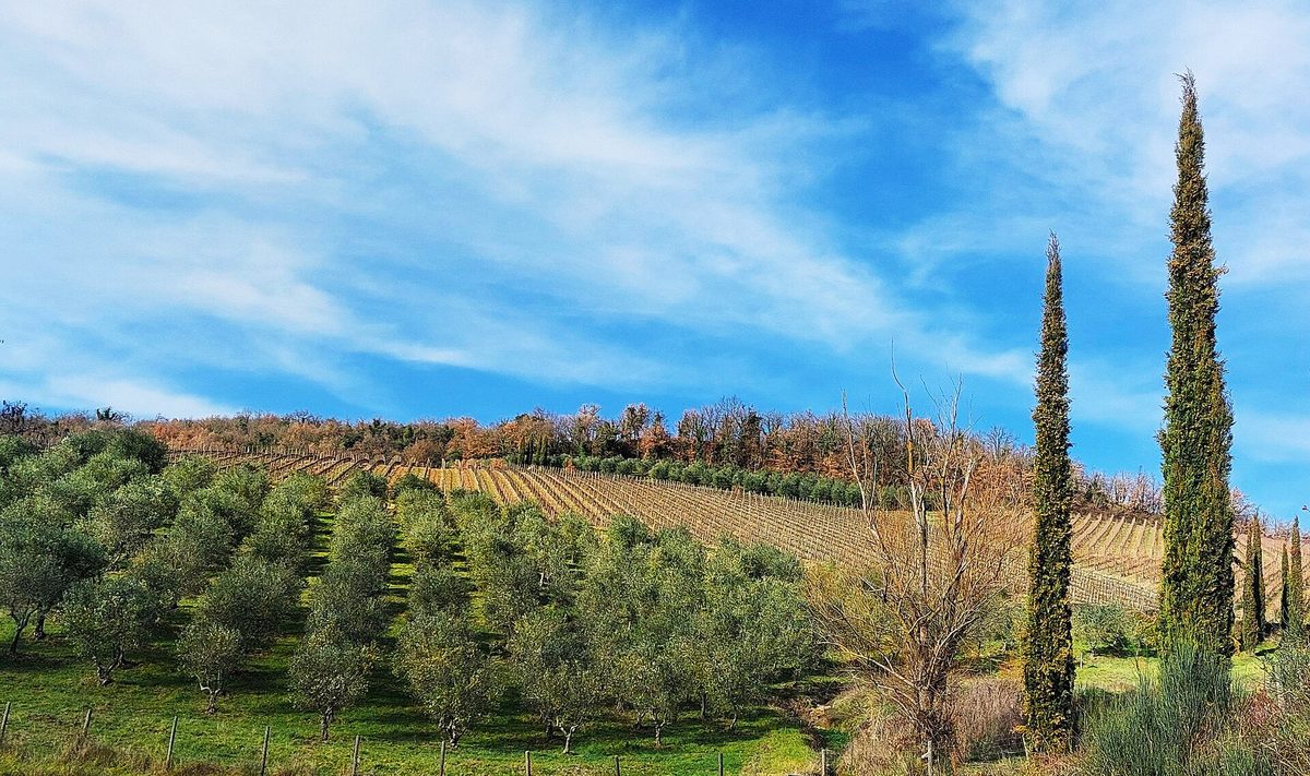 Tuscany, three hours north.