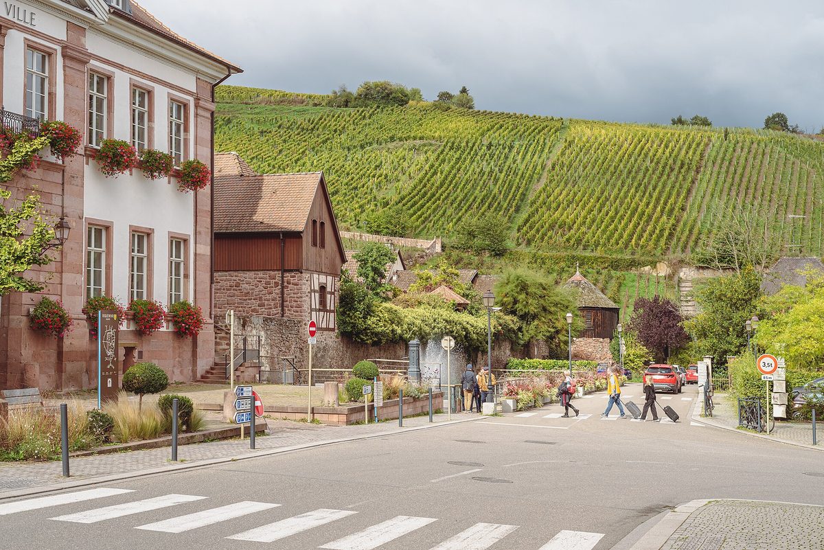 The vineyards of Alsace.